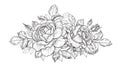 Hand Drawn Floral Bunch with Roses, Buds and Leaves Royalty Free Stock Photo