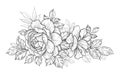 Hand Drawn Floral Bunch with Roses and Different Leaves Royalty Free Stock Photo