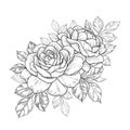 Hand Drawn Floral Bunch with Roses and Leaves Royalty Free Stock Photo