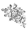 Hand drawn Floral Bunch  with Roses Royalty Free Stock Photo