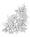 Hand Drawn Floral Bunch with Roses and Leaves Royalty Free Stock Photo