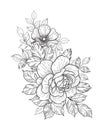 Hand Drawn Floral Bunch with Roses and Leaves Royalty Free Stock Photo