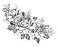 Hand drawn Floral Composition with Rose Flowers