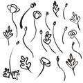 Hand Drawn Floral Doole Set Royalty Free Stock Photo