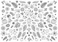 Hand drawn floral elements for autumn Royalty Free Stock Photo