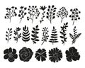 Hand drawn floral elements set Royalty Free Stock Photo