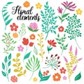 Hand Drawn Floral Elements Set Royalty Free Stock Photo