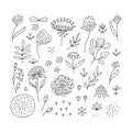 Hand drawn floral elements set Royalty Free Stock Photo