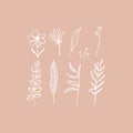 Hand drawn floral elements set in white and pink. Cozy pastel colors. Flowers, brunches, leaves. Vector illustration Royalty Free Stock Photo