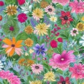 711 Hand-drawn Floral Illustrations: An artistic and whimsical background featuring hand-drawn floral illustrations in playful a Royalty Free Stock Photo