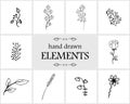 Hand drawn floral logo elements and icons. Cute items for your branding Royalty Free Stock Photo