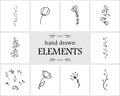 Hand drawn floral logo elements and icons Royalty Free Stock Photo