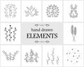 Hand drawn floral logo elements and icons Royalty Free Stock Photo