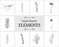 Hand drawn floral logo elements and icons Royalty Free Stock Photo