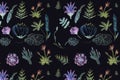Hand-drawn floral seamless pattern. Illustration of colored chalk on a black board. Royalty Free Stock Photo