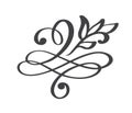 Hand drawn flourish Calligraphy elements. Vector illustration