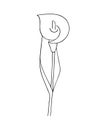 Hand-drawn flower, calla lily. Simple botanical sketch, line, floral drawing, minimalism. Doodle style.Isolated on a white