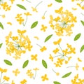 Hand drawn flower cluster background. floral pattern background with fragrant tea olive or osmanthus fragrans. Royalty Free Stock Photo