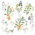 Hand drawn flower collection. Big set botanic branches, leaves, foliage, herbs, wild plants in bouquets