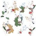 Hand drawn flower collection. Various flowers from fields and meadows in bouquets. Big botanical set Royalty Free Stock Photo