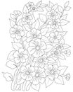 Hand drawn flower coloring page Black and white background.