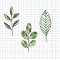 Hand drawn flower and green graphic leaf color Royalty Free Stock Photo