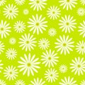 Hand drawn flower seamless pattern easter chamomile wallpaper with print ornament decoration and floral graphic art Royalty Free Stock Photo