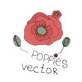 Hand drawn flowers background. Poppies frame Royalty Free Stock Photo