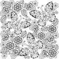 Hand drawn flowers and butterflies for the anti stress coloring page. Royalty Free Stock Photo