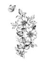 Hand drawn Flowers with Butterfly Royalty Free Stock Photo