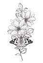 Hand Drawn Flowers and Butterfly