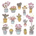 Hand drawn flowers and cactus in the pots. Vector set of plants and succulents.