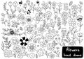 0034 hand drawn flowers doodle Ornaments background pattern Vector illustration Royalty Free Stock Photo