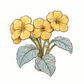 Victorian-inspired Illustration Of Yellow Flowers In Sketch Style