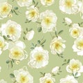 Seamless vector pattern white rosehip