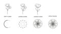HandDrawn Flowers with Loading and Bloom Animations Royalty Free Stock Photo