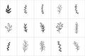 Hand drawn flowers logo elements and icons Royalty Free Stock Photo