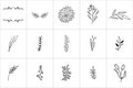 Hand drawn flowers logo elements and icons Royalty Free Stock Photo