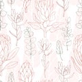Hand-drawn flowers protea and eucalyptus. Vector seamless patt