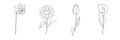 Hand-drawn flowers set. Narcissus, sunflower, tulip, calla lily. Simple botanical sketch collection, line, floral drawing,