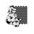 Hand drawn flowers vector. Unusual beautiful flowers