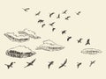 Hand drawn flying birds sky clouds migratory