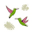 Hand drawn flying hummingbirds with tropical leaves. Perfect for T-shirt, poster, greeting card and print.