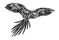 Hand drawn flying parrot outline sketch. Vector bird black ink drawing isolated on white background. Graphic animal illustration