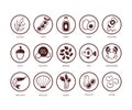 Hand-drawn Food Allergen Icon Set