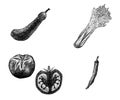 Black line hand-drawn various vegetables, gourmet temptation