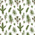 Hand drawn forest and Christmas seamless pattern with fir tree, pine tree and larch branches isolated on white background. Vector Royalty Free Stock Photo