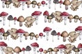 Hand drawn forest mushroom background of amanita with snails and caterpillars on white background