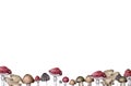 Hand drawn forest mushroom background of amanita with snails and caterpillars on white background