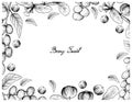 Hand Drawn Frame of Antidesma Ghaesembilla and Barbados Cherry Royalty Free Stock Photo